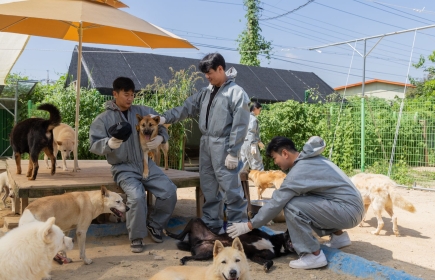 Sowohl die Hunde im Heim wie auch die Jungen freuen sich über den Besuch. Bild: Seong Joon Cho